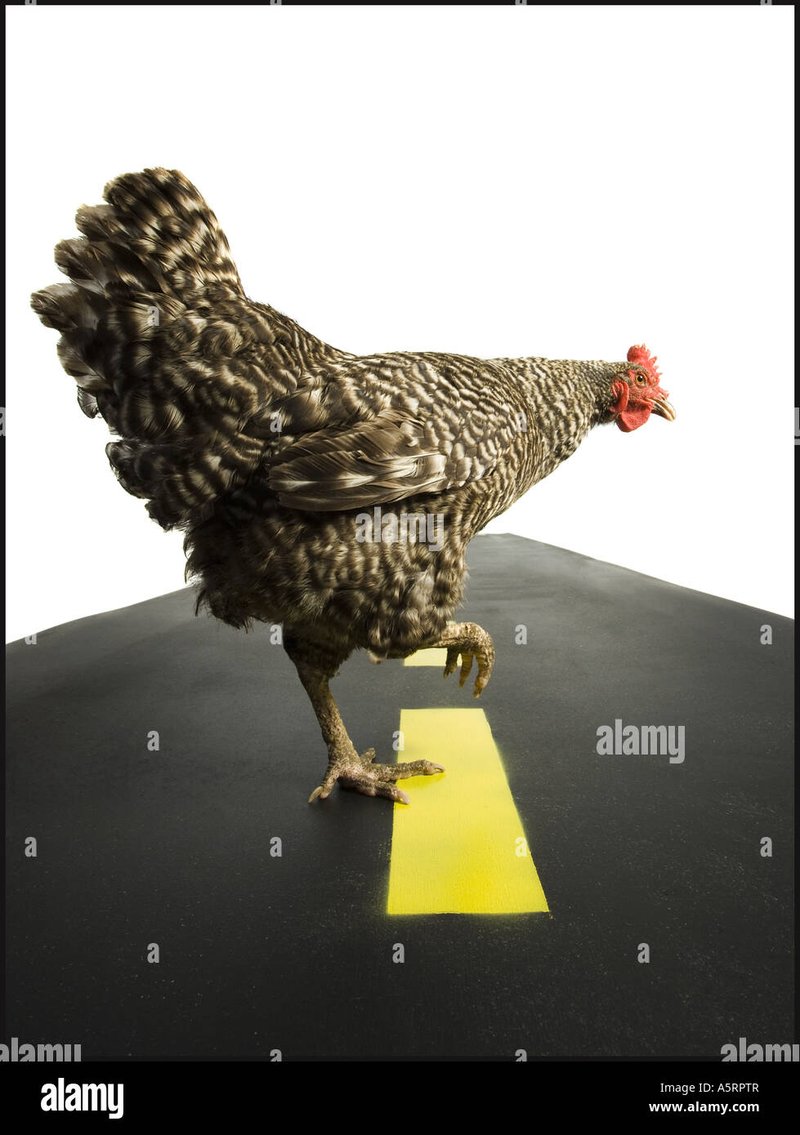 Germany - chicken road
